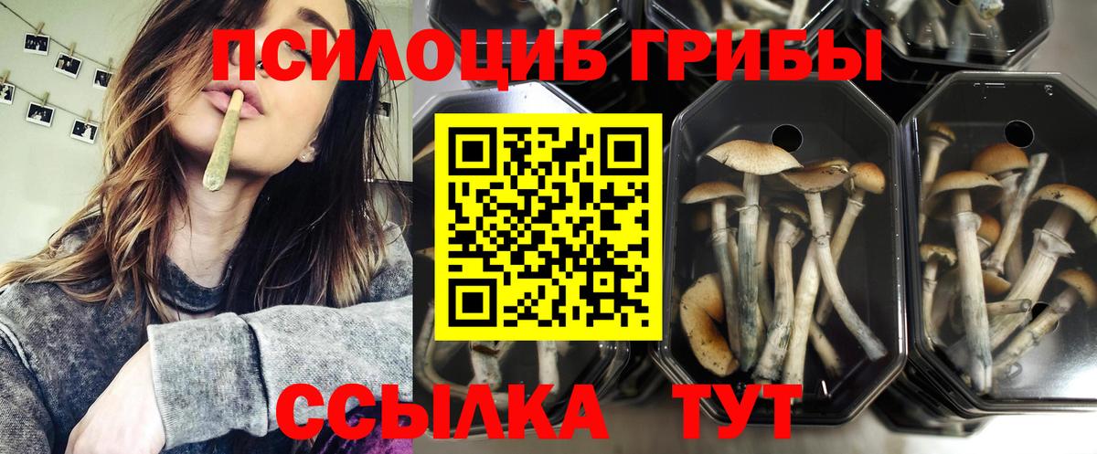 Псилоцибиновые грибы прущие грибы  наркотики  Радужный  Вход с VPN  Галлюциногенные грибы Cubensis 