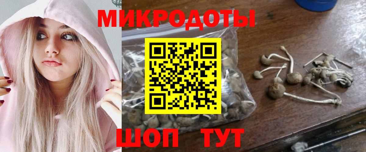 Галлюциногенные грибы мицелий Радужный